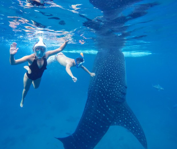 DCIM100GOPROG3733977.