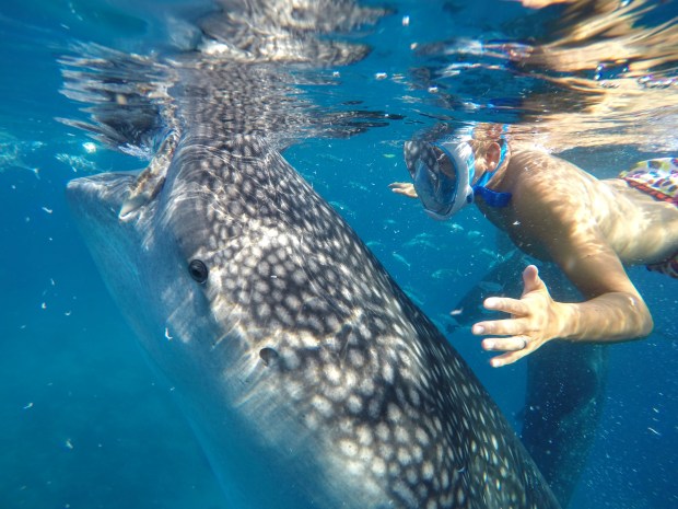 DCIM101GOPROG3924100.