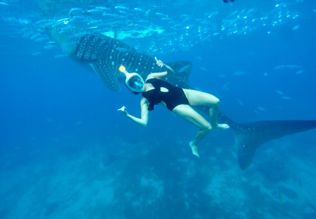 DCIM101GOPROG4224143.